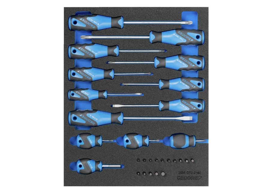 GEDORE screwdriver bit socket set in 2/4 Check-Tool module, catalogue image