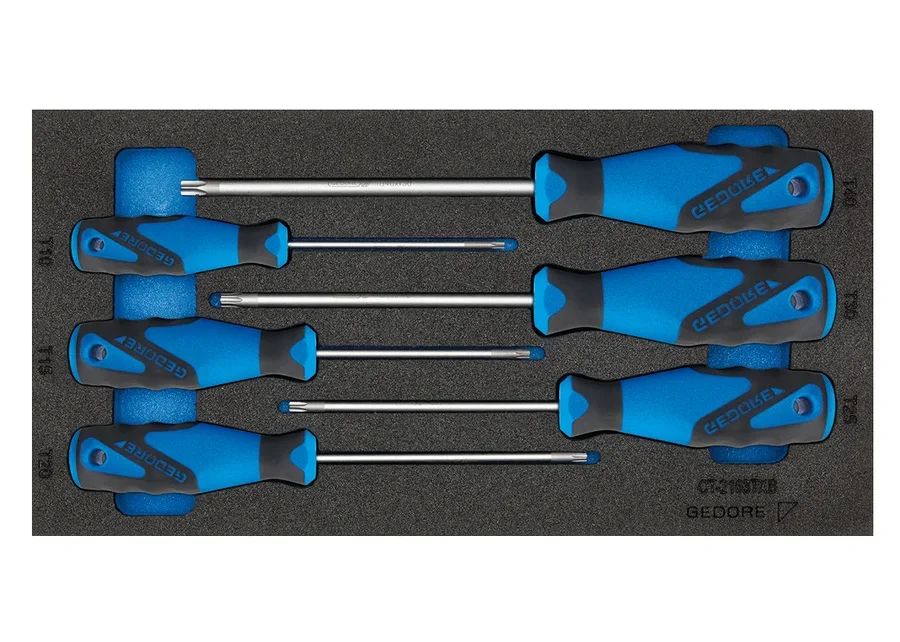 GEDORE screwdriver bit socket set in 1/3 Check-Tool module, catalogue image no. 4
